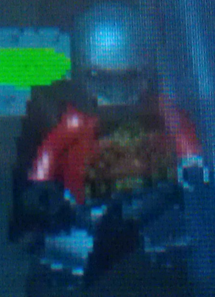 File:Red Robin 1.png