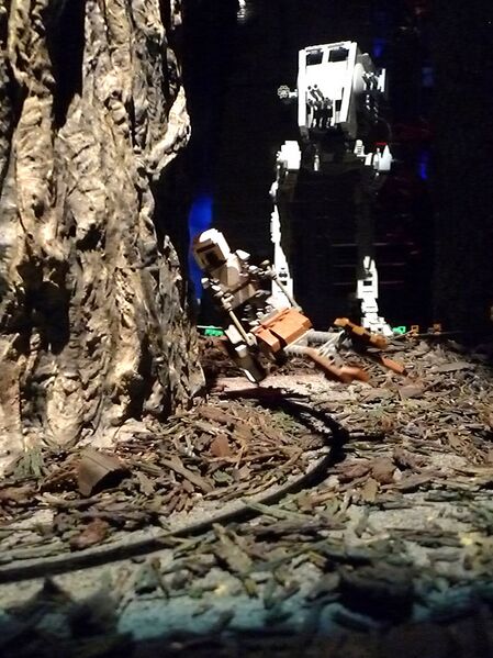 File:7067626469 f95e0442fc b.jpg