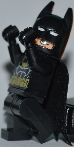 File:30303obligatorysigfigphotobatman.jpg
