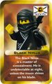 Ninja Black3.jpg