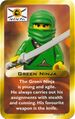 Ninja Green3.jpg