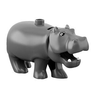 Hippo.jpg
