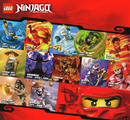Ninjago characters.png
