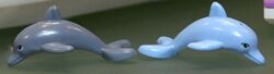 Dolphins.jpg