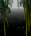 Bamboo background.png