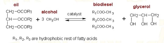 Bio123.jpg