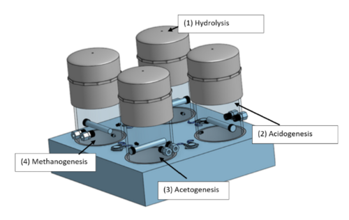 AD 4-Chamber Model.png