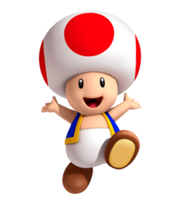 Toad3DLand.png