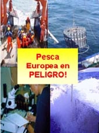 Pesca Europea en Peligro bolg 200.jpg