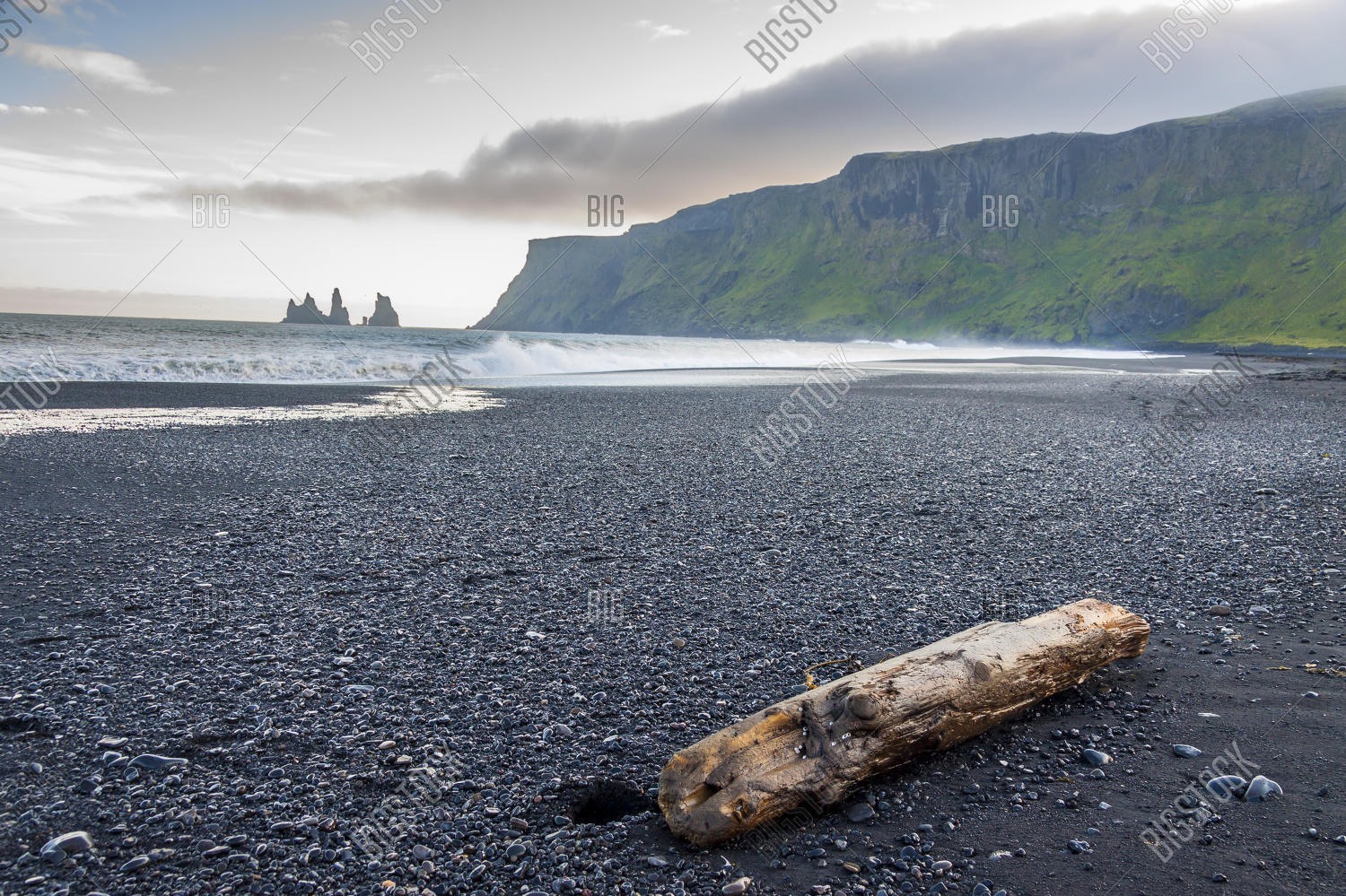 A driftwood in Vik Beach.jpg