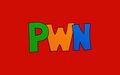 PWN Logo (Even Newer).jpg