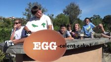 EggCelent Cake.jpeg