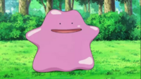 Crystal's Ditto
