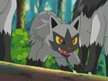 Poochyena Cackle.png