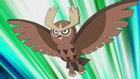 Crystal's Hoothoot & Noctowl