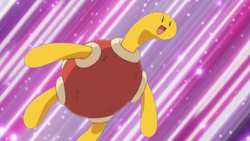 Shuckle.png