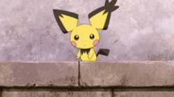 Spiky eared Pichu anime.png