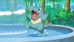 Totodile Starter.png