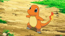 Silus Charmander.png