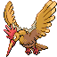 Fearow-front-battle-sprite-FireRed.gif