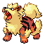 Arcanine-front-battle-sprite-FireRed.gif