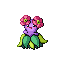 Bellossom-shiny-front-battle-sprite-FireRed.gif