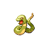 toothless snake with round head and rattle tail