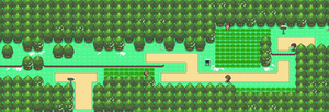 Sinnoh Route 201.png