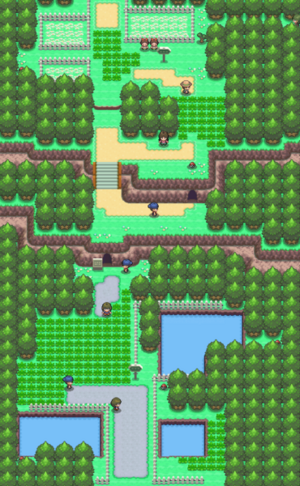 Sinnoh Route 204.png