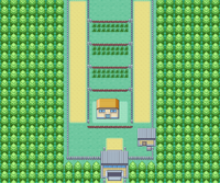 Map Kanto Route 5.png