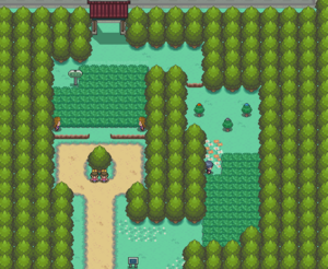 Map Johto Route 37.png