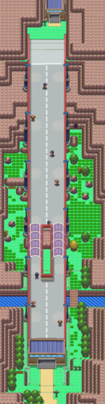 Sinnoh Route 206.png