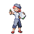 Spr Kanto Painter.png