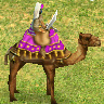 Camel Raider