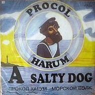 Procol Harum – Salty Dog