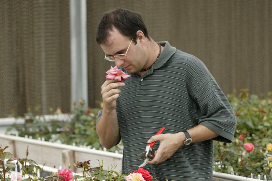 DateiBédard, Christian.jpg RoseBiblio