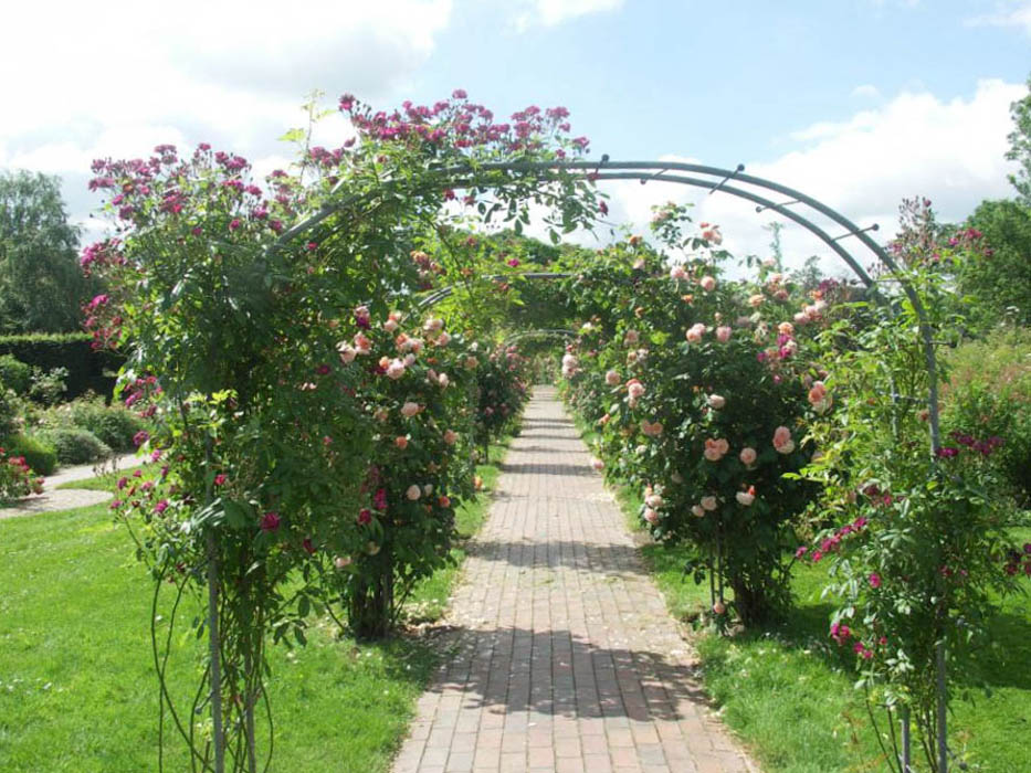 Rosarium Glücksburg RoseBiblio