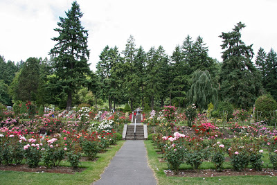 Portland International Rose Test Garden2.jpg