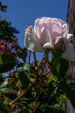IMGP7213-1-w.jpg