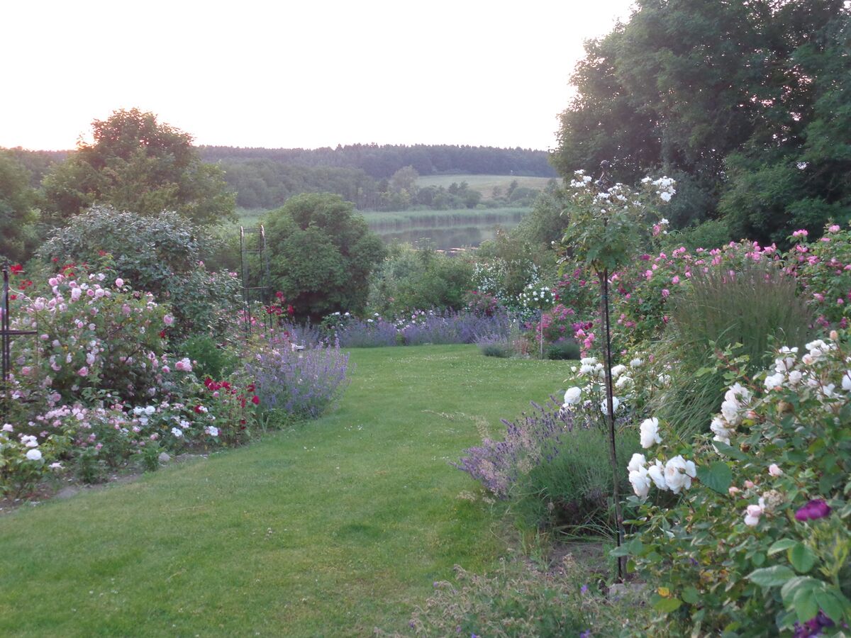 Rosengarten Am See Rose Biblio