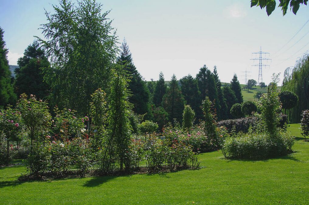 Rosengarten Ettenbühl RoseBiblio