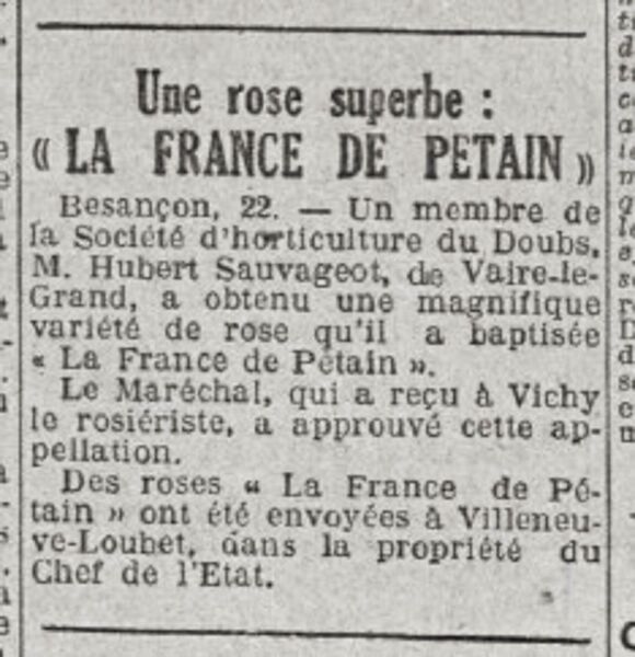 Le Populaire Du Centre 23 2024 T20 Bel Amelita