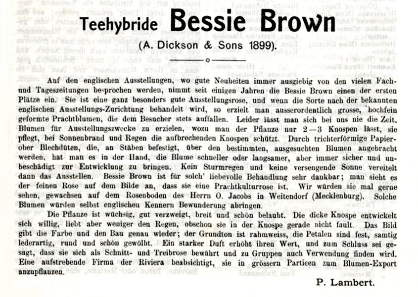 Bessie brown rz. t.jpg