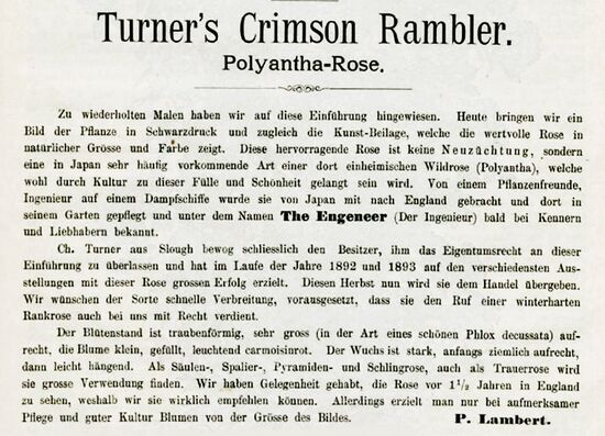 Turners crimson 189.jpg