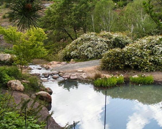 Quarryhill Botanical Garden-2-w.jpg