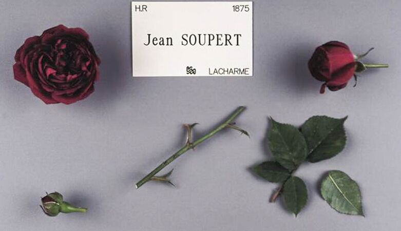 Jean Soupert, Stéphane Barth, L'Hay 1-2-w.jpg