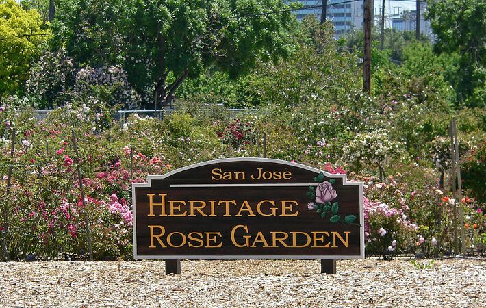 San Jose Heritage Rose Garden view 1.jpg