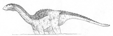 Titanosaur.jpg