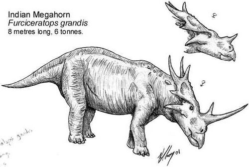 Indian megahorn, Furciceratops grandis (south and southwest Asia)
