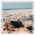 Misza avatar